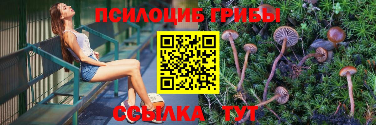 Галлюциногенные грибы GOLDEN TEACHER Норильск